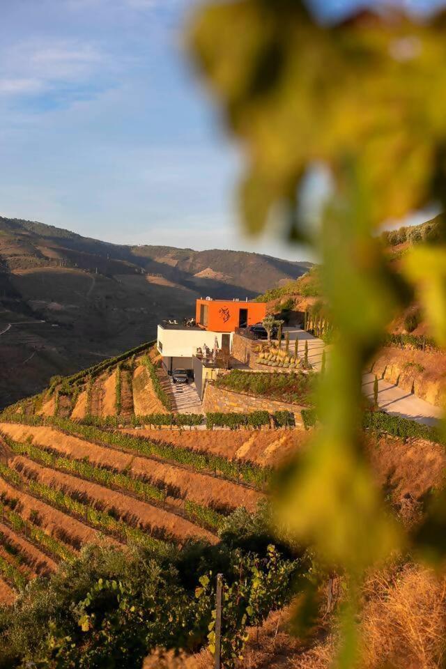 Bed and Breakfast Quinta Vale De Lobos Folgosa  Esterno foto